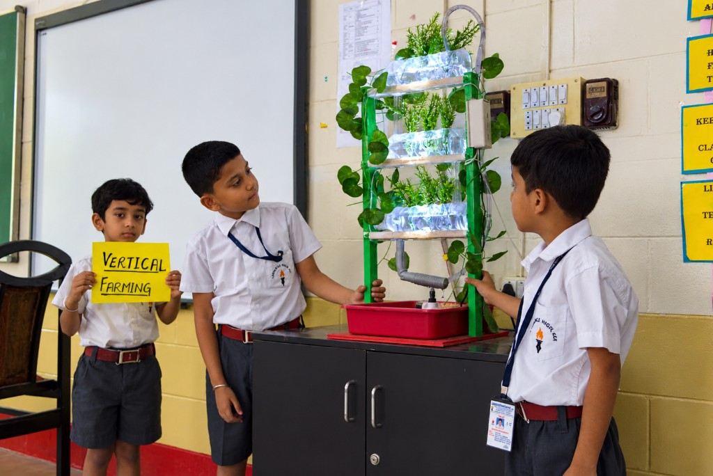 Primary students presenting a vertical farming project at Lawrence High School