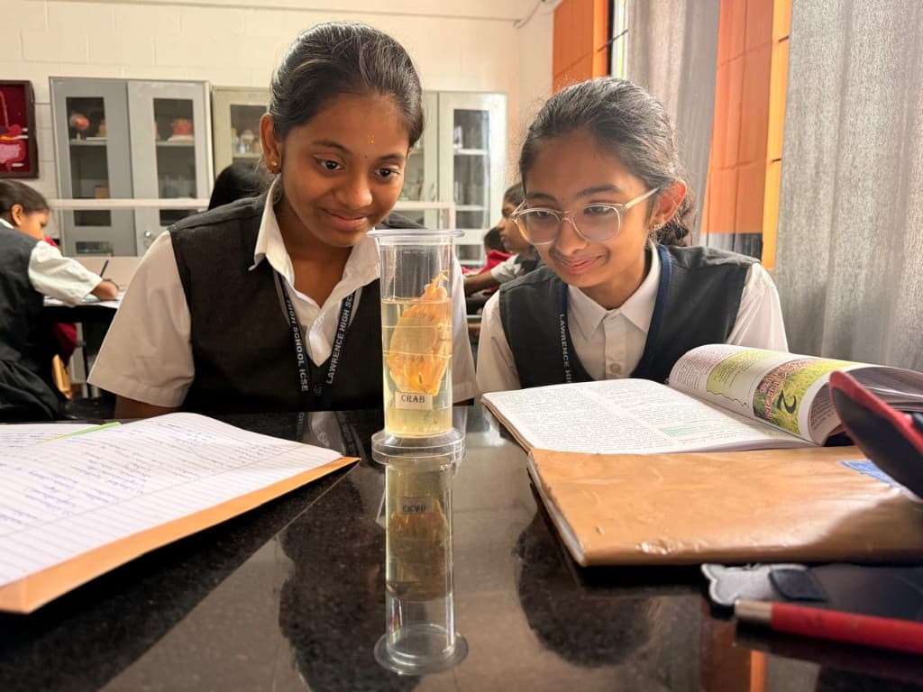 Middle school students examining a preserved crab specimen in science class